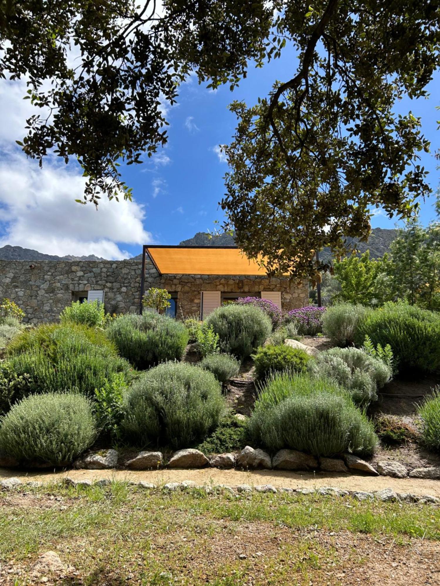 Residence Casarella Lama Dış mekan fotoğraf